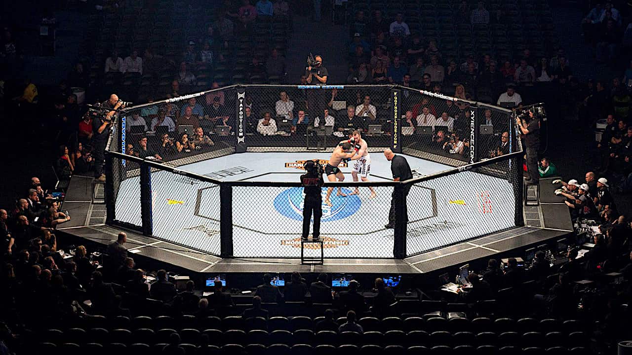 The Ultimate Fighting Championship (UFC)