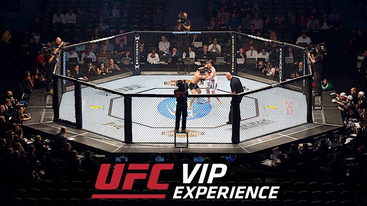 UFC VIP Experience